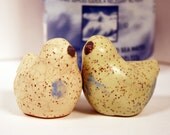 Vintage Stoneware Birds Salt & Pepper Shakers