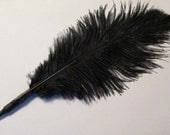 Harry Potter Quill - Feather Pen - Black Ostrich Feather - Geekery - Wedding - Party