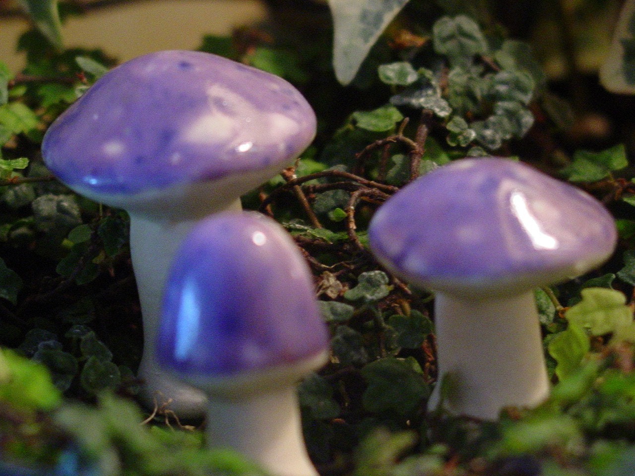 Enchanting Miniature Mushrooms