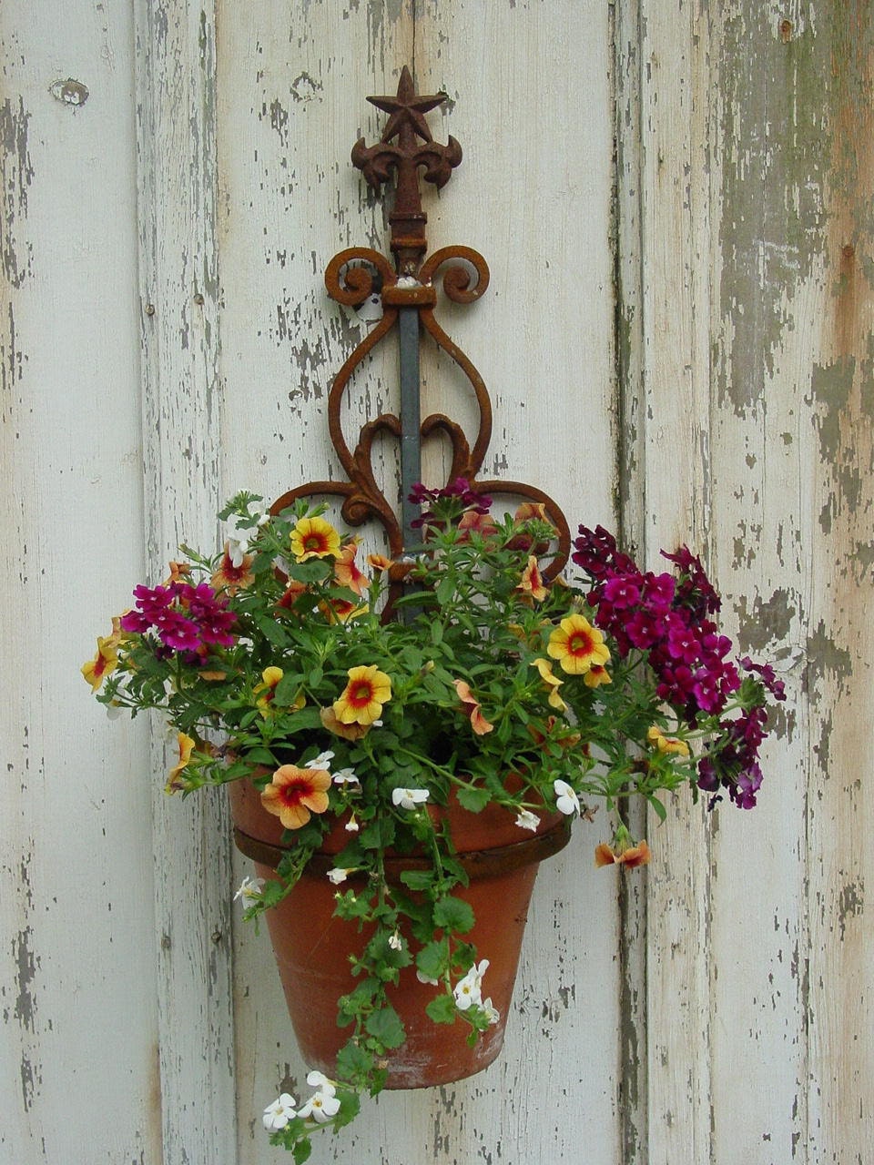 Wall Mounted Plant Holder Steel Pot Ring by InspiredGardens