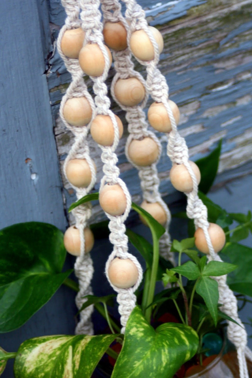 Cottonwood Handmade Cotton Cord Macrame Plant Hanger Shabby-Chic Hanging Basket