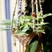 Macrame Plant Hanger- San Polo - Natural Hemp Hanging Basket- Handmade In Italy- Plant Jewelry-Sale Priced