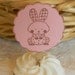 Cute Bunny Rabbit - great for baby showers or birthdays - Cupcake Toppers