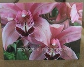 Pink Orchids Fine Art Photo Greeting Card