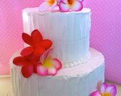 Plumeria Cake Flowers