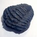 Fossil - Trilobite Cabochon Specimen from Utah Small - sea creature - Perfect for a ring.
