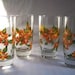 Beverage glasses hand painted with orange Bougainvillea