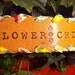FLOWER CHILD leather wristband with snap closure