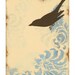 Love Bird Prints, Home Decor, French Country, Cottage Chic, Shabby, 11 x 14 inches