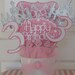 Princess Birthday-Happy Birthday Princess banner with Name and age