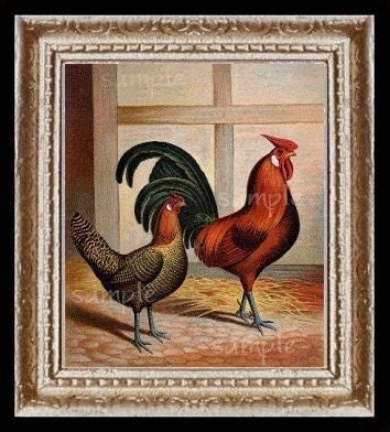 Rooster Bird Miniature Dollhouse Art Picture 5147