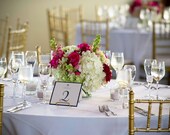Table Numbers with Starfish