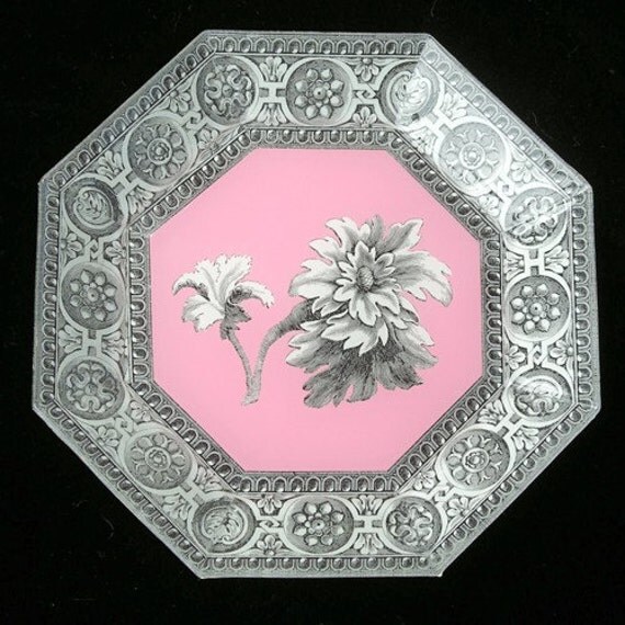 Pink B/W Plate 2