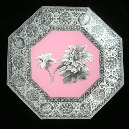 Pink B/W Plate 2