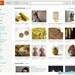 Organic Calendula Chamomile Lip Balm made with Fair Trade Shea butter - MADE the ETSY FRONTPAGE- Heals and protects - in lip pot