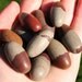 3 Shiva Lingam Stones