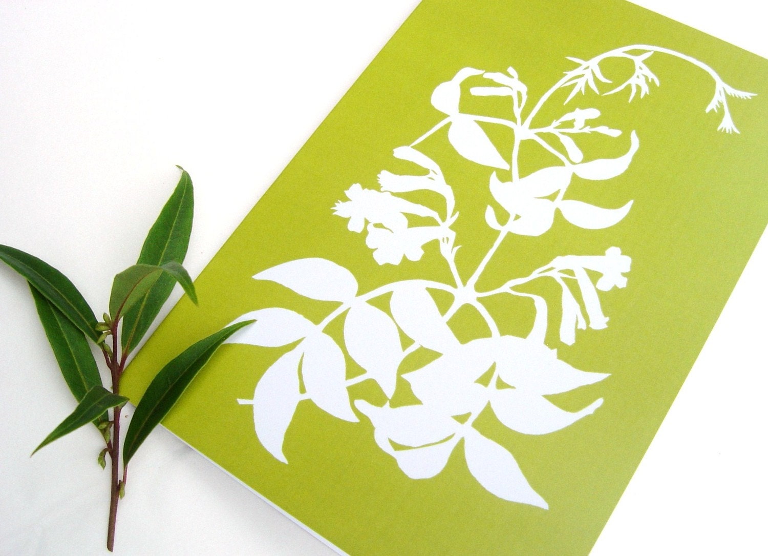 Botanical Cards Papercut Greetings Cards (A5) - Set of Five in Green and Brown Nature Silhouette Leaf Designs