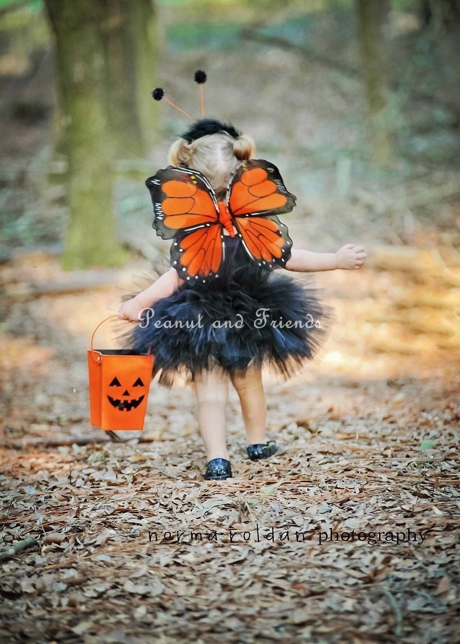 Orange Monarch Butterfly Tutu Costume   Any Size Newborn-5T