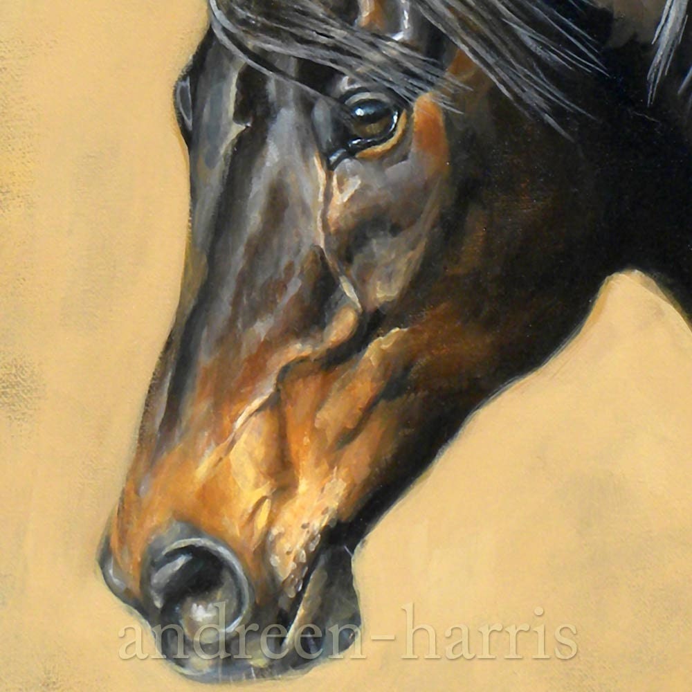Bay Horse Print 11 x 14
