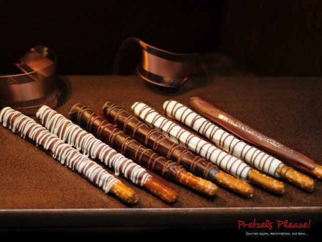 Gourmet Chocolate Covered Plain Jane Pretzel