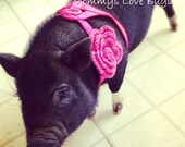 Perfect Clip for your Pet - Attach to harness, collar, or hair