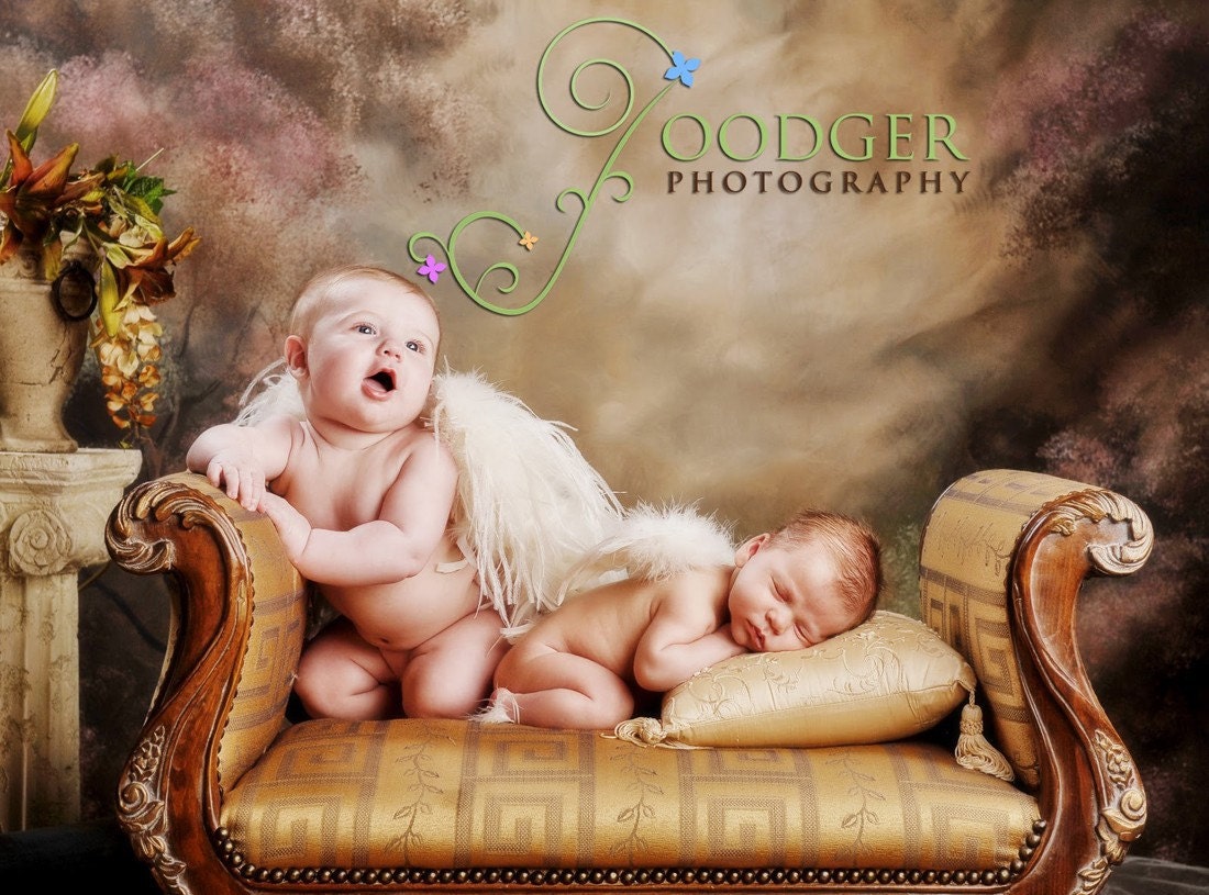 Sprouts ... Tiny Angel newborn wings for infant portraits and professional photography and photo prop ...  gift packaging