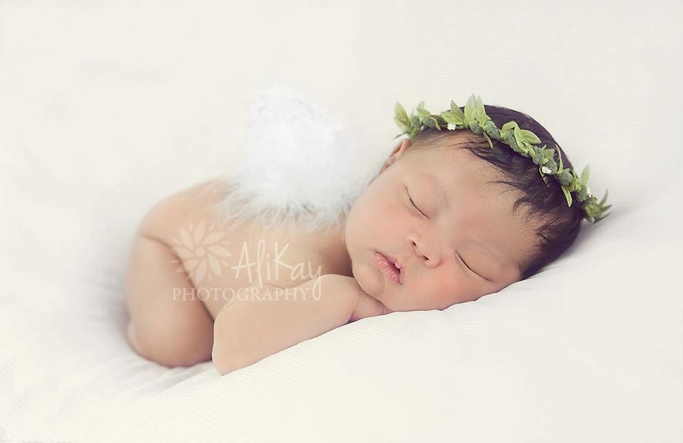 Heaven sent Portrait in a Box prop collection Newborn Woodland Halo .