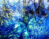 Flow at Fanning Springs