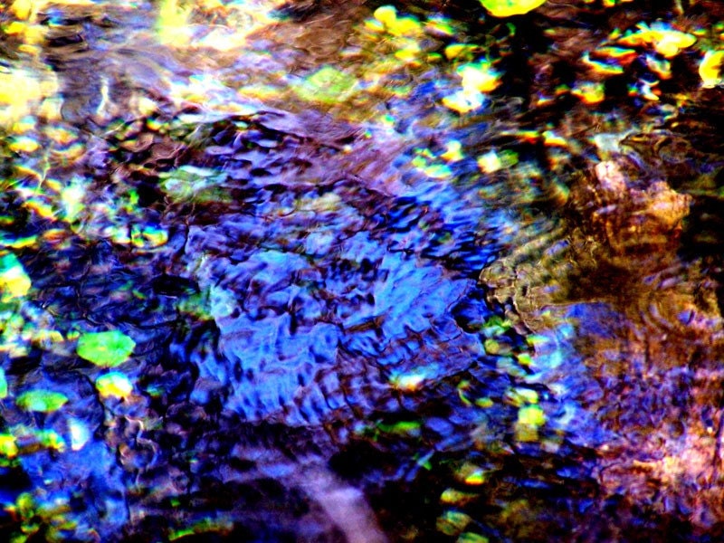Flow at Manatee Springs