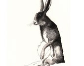 Hare print  - 11x14