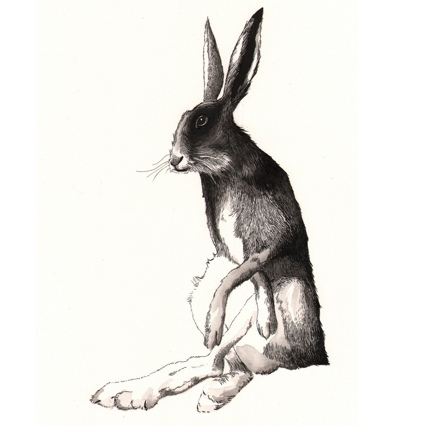 Hare print  - 11x14