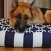 Humongous - DEXTER doggie duvet cover
