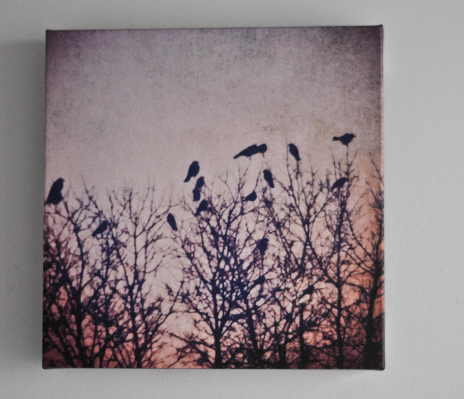 Crows at Sunset I - 12"x12" Fine art photo on Canvas