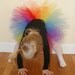 Bright Rainbow TuTu - Perfect for your Birthday Princess (Newborn to 5T) - Extra Fluffy