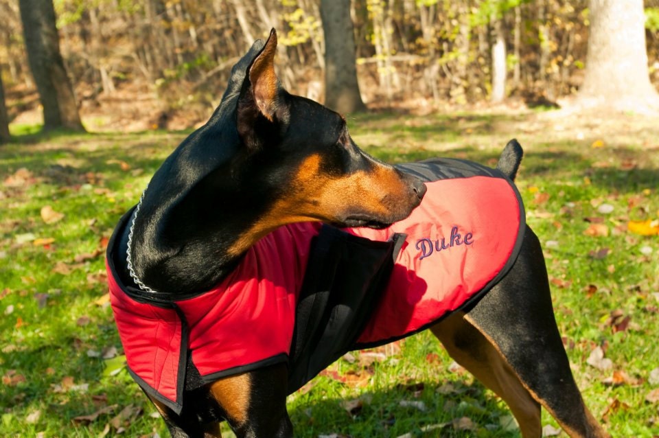 Tootlewear's All Weather Dog Sport Coat XXLarge