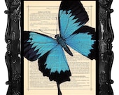 Upcycled Dictionary Page Upcycled Book Art Upcycled Art Print Upcycled Book Print Vintage Art Print Blue Butterfly Blue Beauty