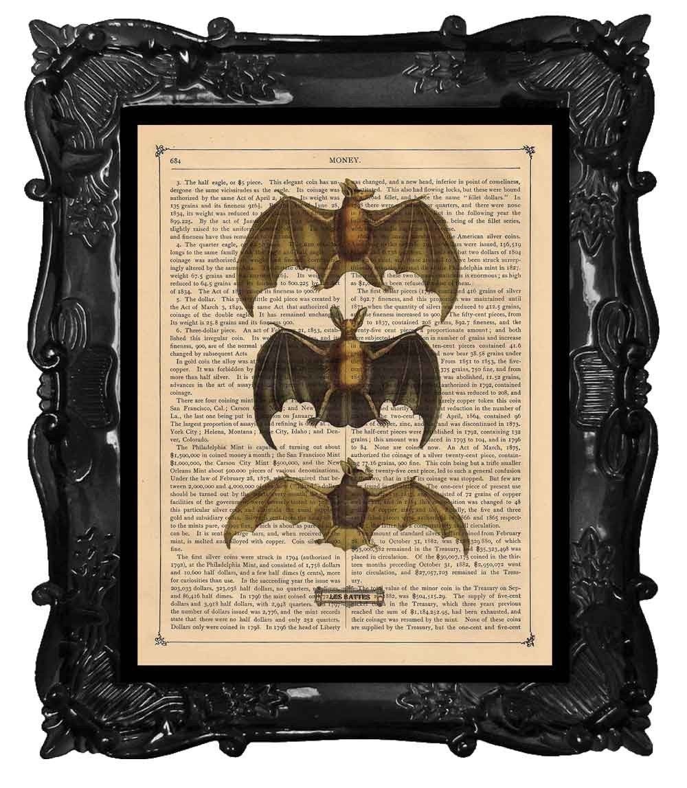 FREE SHIPPING WORLDWIDE LES BATTES THE BATS PRINT on an Antique 1890 Book Page