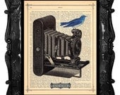 Watch the birdie - camera art print - upcycled antique book art print - book page camera art print Illustration