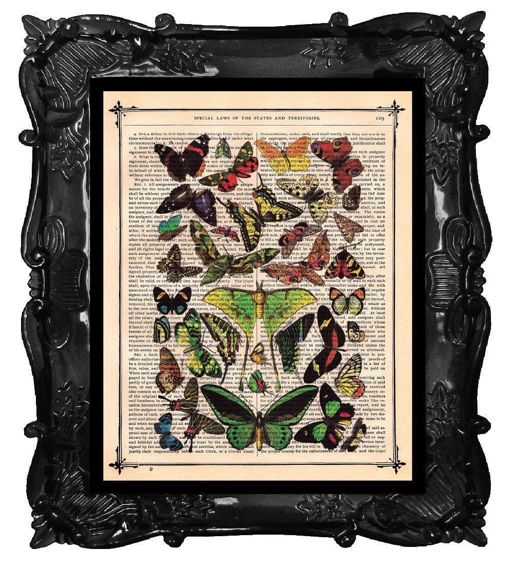 Collage of BUTTERFLIES Art Print Antique BUTTERFLIES Art Print BUTTERFLIES Art Book Page