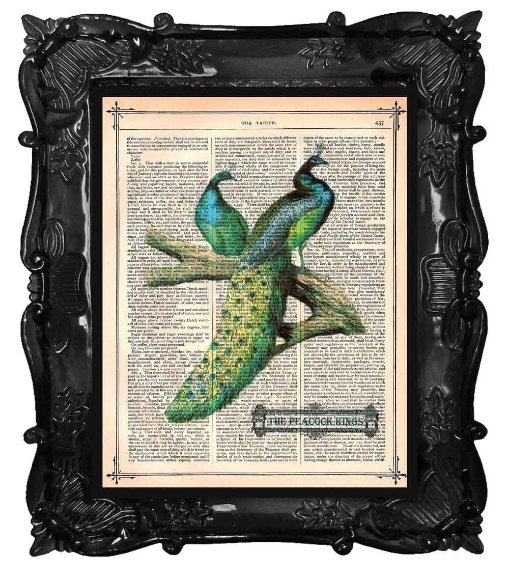 FREE SHIPPING WORLDWIDE PEACOCK KINGS PRINT on a Vintage 1883 Book Page