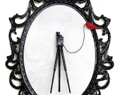Large Format Camera on Tripod with Red Bird - Victorian Framed Object - Wall Art Decor 7x10in