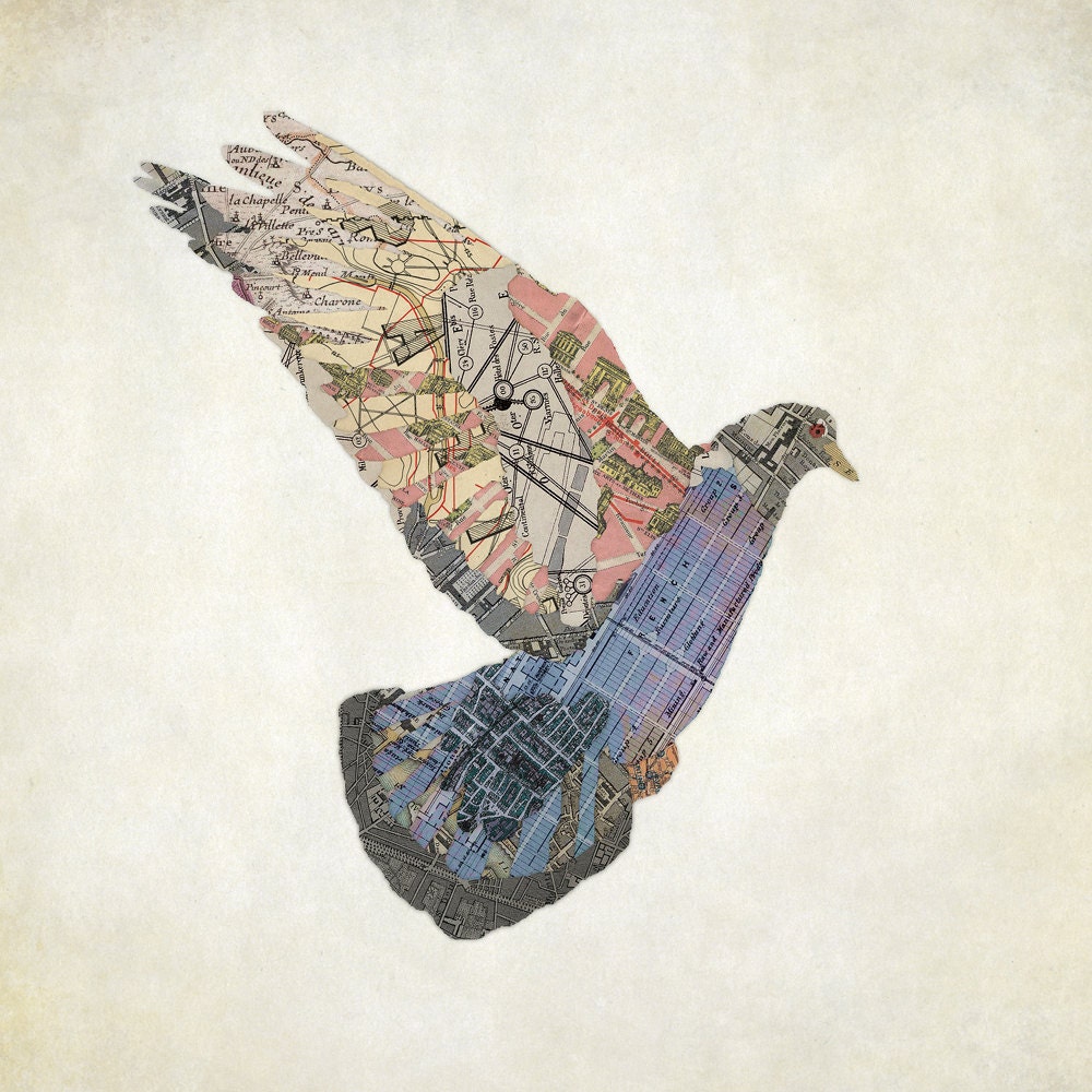 Le Pigeon de Paris
