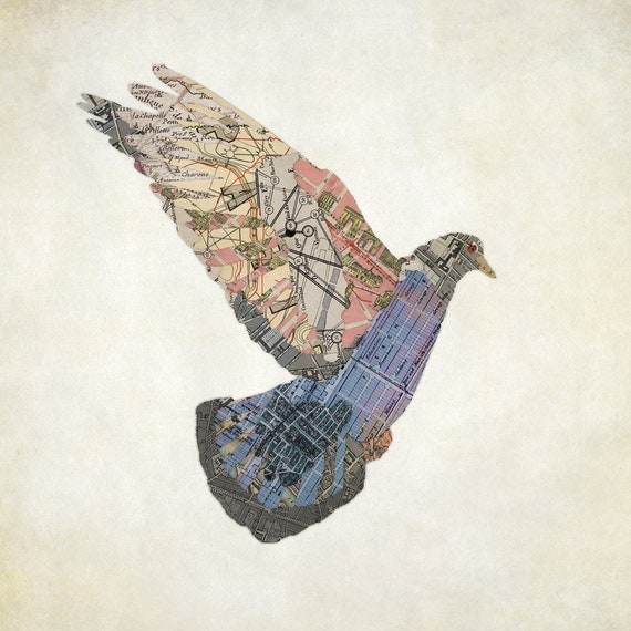 Le Pigeon de Paris