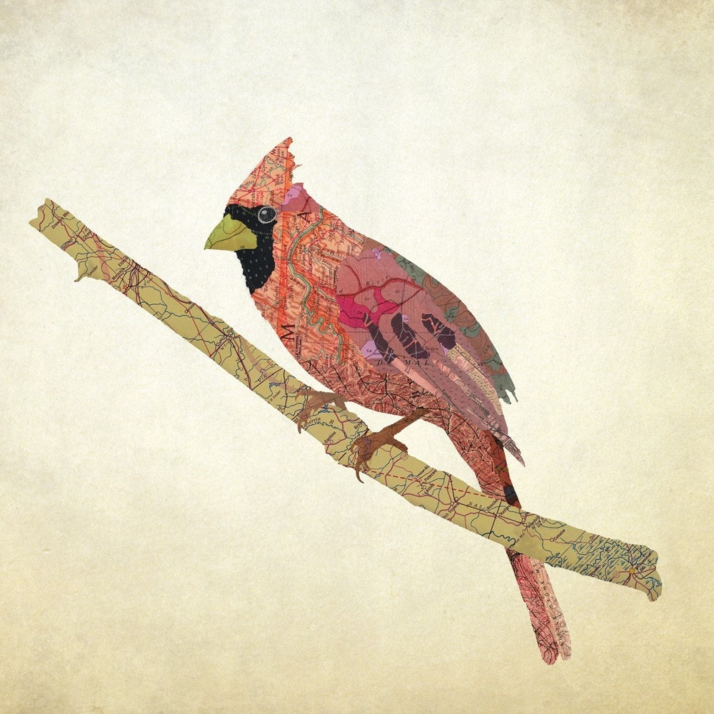 Virginia Northern Cardinal