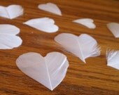 Flower Girl  Petals / Reception Table  Feather Hearts- 50
