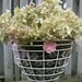 SALE Tres Belle French-Inspired Dried Hydrangea Hanging Planter