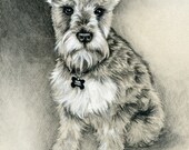 Hand Drawn Portrait in Charcoal - 8x10
