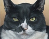 Hand Painted Oil Portrait - 12x16