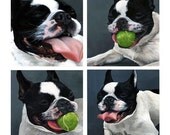 Hand Painted Oil Portrait - Series of four 5x5