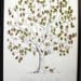 Guest book fingerprint tree (guestbook drawing, 2 stamp pads, and pen)